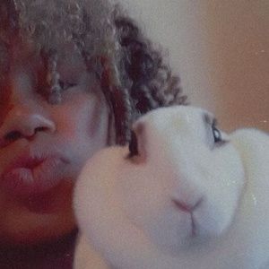 Meet your Posher, Arie